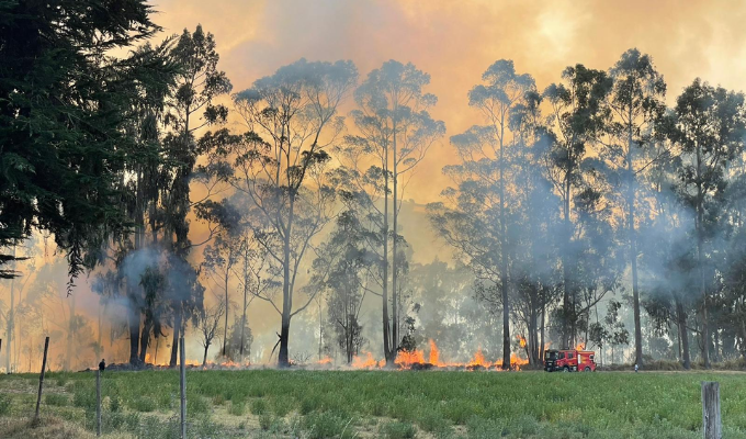 ¡Emergencia nacional! Incendios arrasan Ecuador 🔥