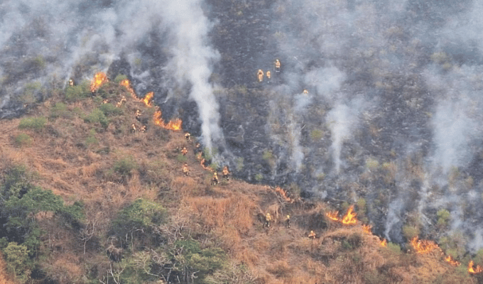 Parque Nacional Cajas en peligro: más de 5 000 hectáreas consumidas