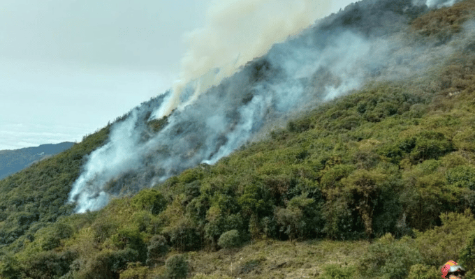 Incendios, sequía y apagones: Ecuador enfrenta una dura crisis