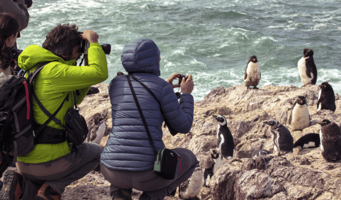 ¡Fotos de turistas ahora rastrean pingüinos en la Antártida!