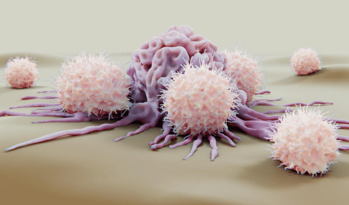 Proteína p62: el nuevo objetivo para frenar la metástasis