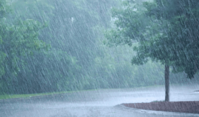 ¿Dónde deben llover más para salvar el sistema hidroeléctrico?