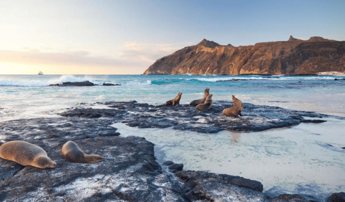 ¡Atención viajeros! Deben llenar declaración para viajar a Galápagos