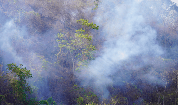 Fuego en Cerro Azul llega a viviendas de Ceibos: Cortes de luz