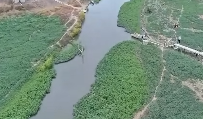 Cinco cadáveres fueron hallados en laguna de Vía a la Costa