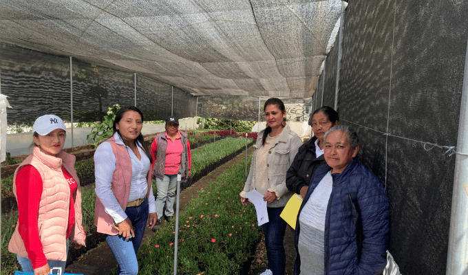 ¡90.000 plantas para reforestar Tungurahua!
