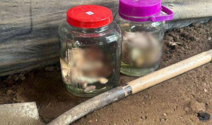 Ejército halló fetos humanos en operativo en La Maná