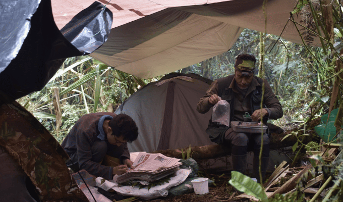 Convenio busca proteger flora y fauna emblemática en Tungurahua