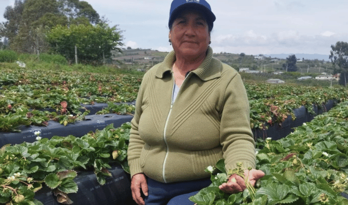 Azucena Bonilla: 40 años dedicados al campo ecuatoriano