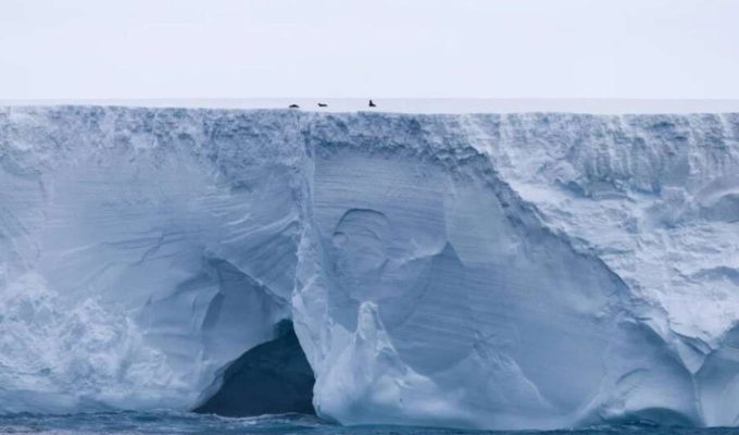 Gigantesco iceberg amenaza la vida marina en Georgia del Sur