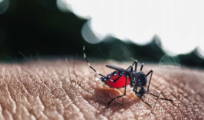 "La Epidemia Silenciosa que se Propaga por América Latina"