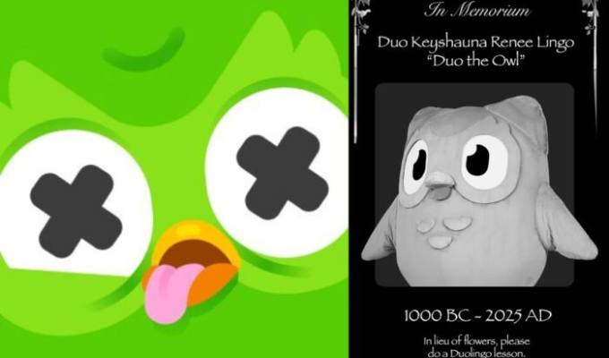 ¡Murió Duo, el búho de Duolingo!