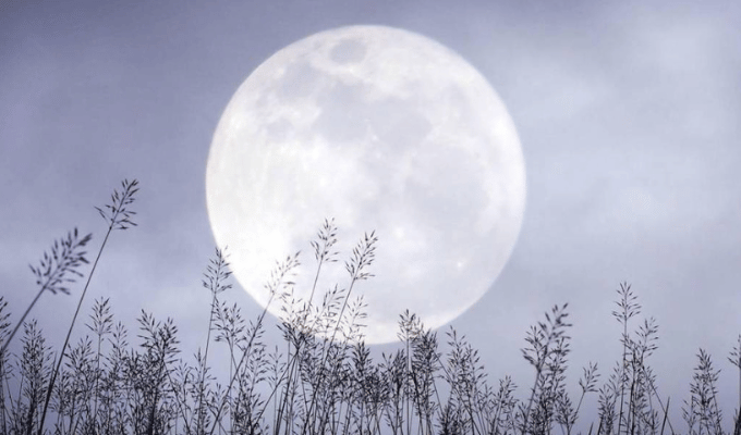 No te pierdas la Luna de Nieve, el fenómeno que asombrará a todos