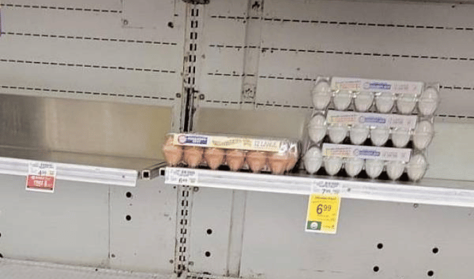 Comercios racionan huevos por gripe aviar en Estados Unidos
