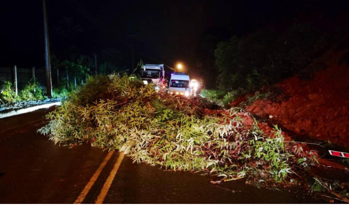 Ecuador registró 295 emergencias por lluvias en lo que va del año