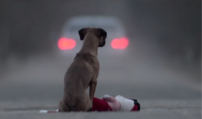 México, líder en abandono animal en Latinoamérica