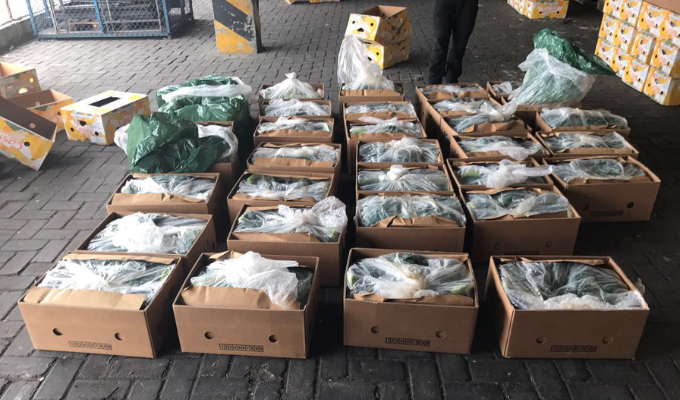 Ecuador en la mira: narcotráfico dispara la violencia en el país