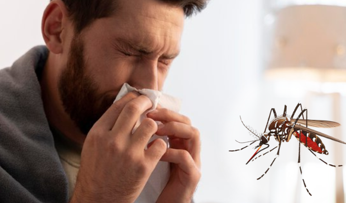 Alerta por aumento de casos de dengue en Ecuador