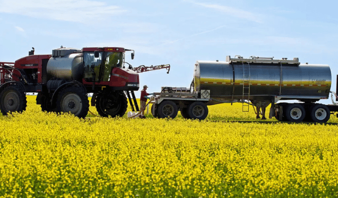 Pekín lanzó impuestos a la canola y carne de cerdo como advertencia