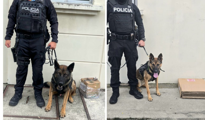 ¡Droga en encomiendas! Policía frustra envío de cocaína al extranjero