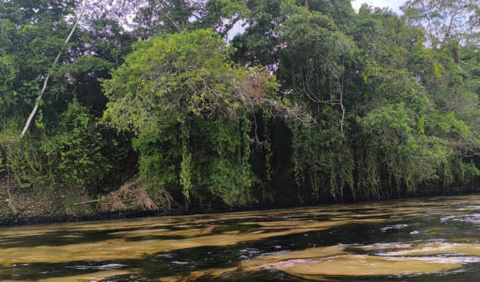 Derrame de petróleo arrasa con un refugio de vida silvestre