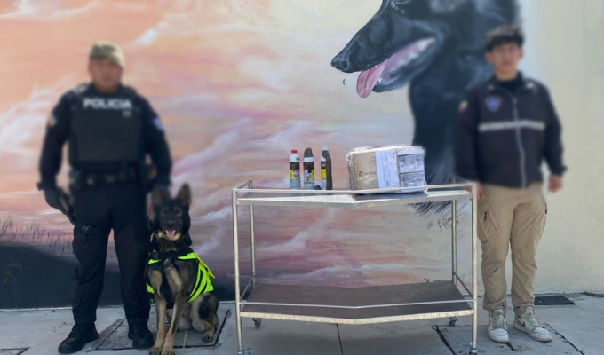 Policía Nacional evita envío de cocaína valorada en 2.5 millones
