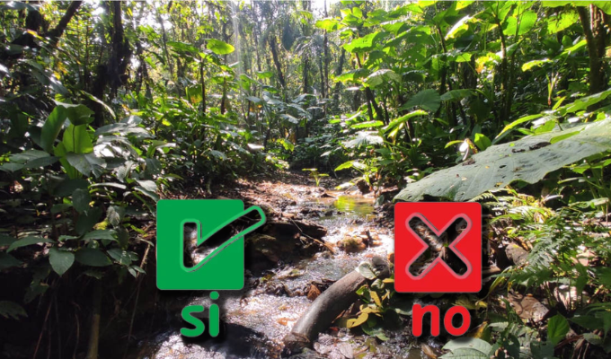 Bajo el Cielo de Colibríes: El Futuro de Chocó Andino se Decide