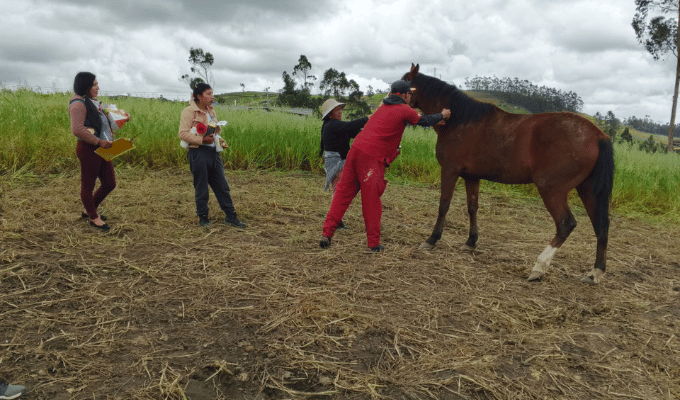 ¡Salud animal fortalecida en Quisapincha con exitosa campaña!