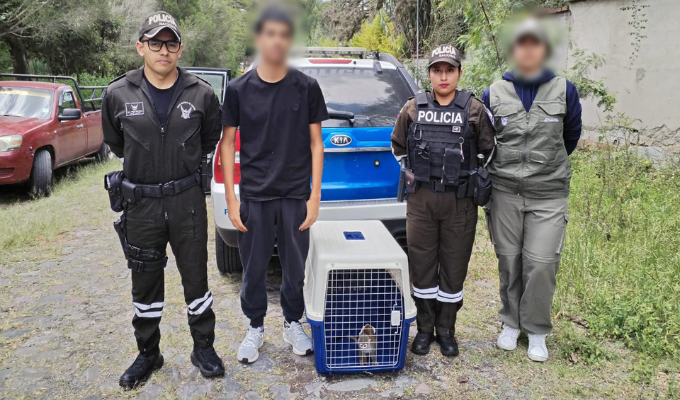 Detienen a hombre por tráfico de fauna silvestre en Ecuador