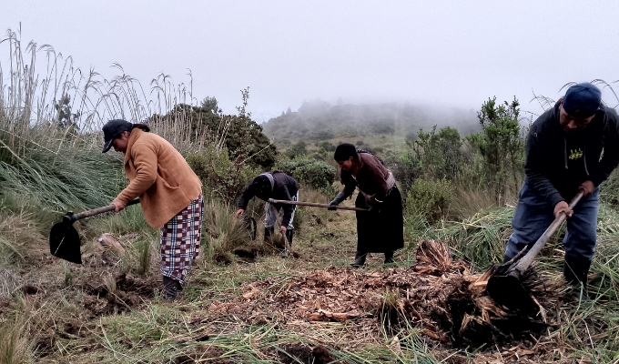 Comunidad se une para limpiar el sendero Warkuc Rumy en Pilahuín
