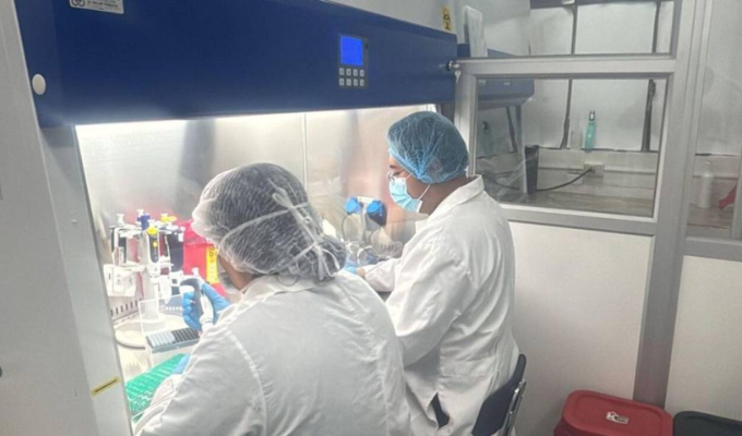La fiebre amarilla vuelve: casos en Loja, Ambato y Morona