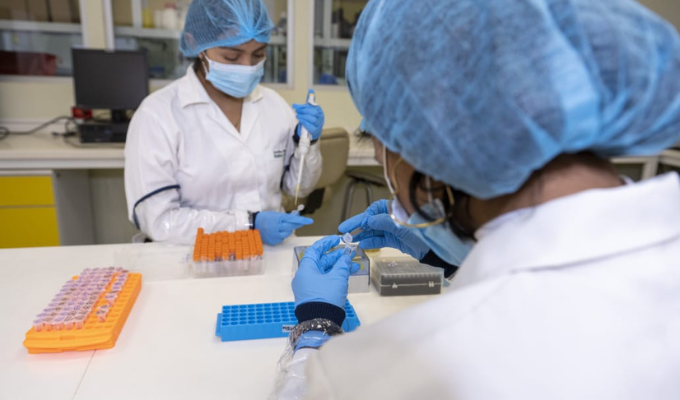 "UTPL Impulsa Biofortificación del Banano para Mayor Nutrición"