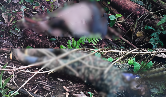 Ejército Ecuatoriano encuentra los cuerpos de dos guerrillero