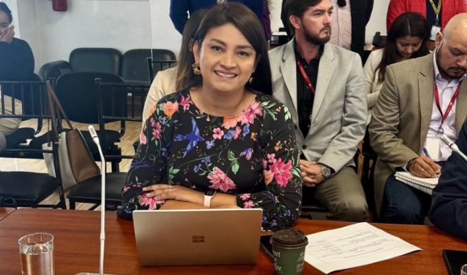 Victoria Desintonio sancionada con $9.000 por campaña fuera de tiempo