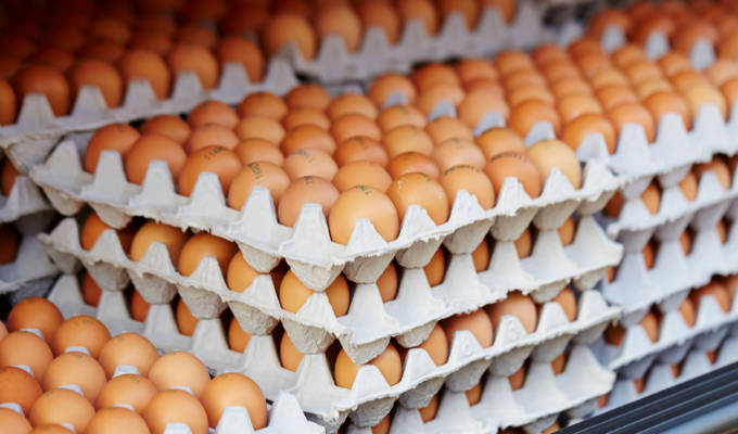 Gran Robo de Huevos en Ambato: 2.000 Cubetas Desaparecen de una Bodega