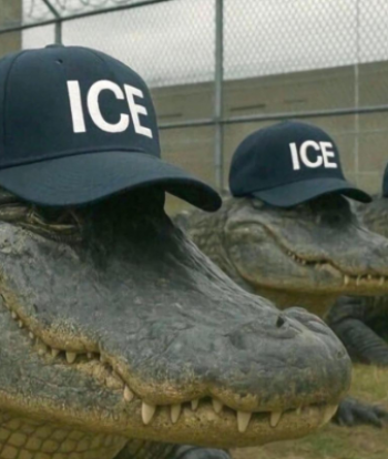 Alligator Alcatraz: la nueva cárcel para migrantes abre este 1 julio