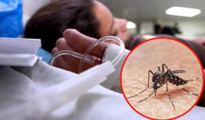 Ecuador 2025: Ya van 43 muertos por dengue y los contagios no paran