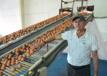 Reconocimientos en honor al esfuerzo y dedicación de los tungurahuense