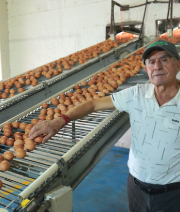 Reconocimientos en honor al esfuerzo y dedicación de los tungurahuense