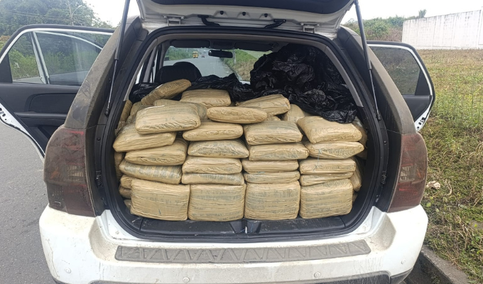 ¡Cae cargamento de marihuana en Santo Domingo!