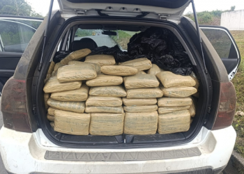 ¡Cae cargamento de marihuana en Santo Domingo!