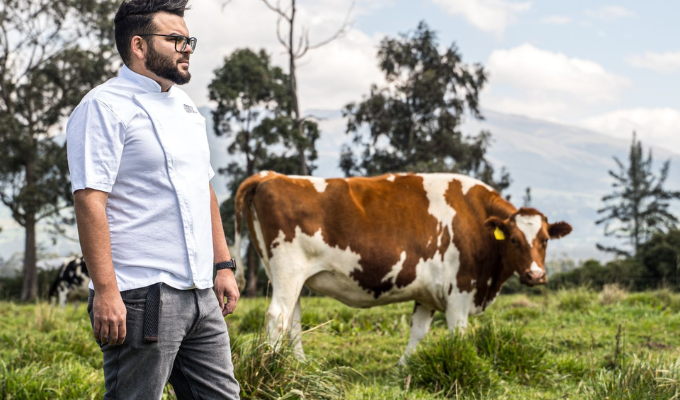 La Vaca Vieja Andina: Claves para la Mejor Carne en Ecuador