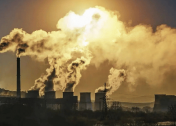 Radiografía global 2024: calor al rojo y CO₂ en récord