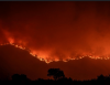 Ya son 32 los detenidos por incendios forestales en España