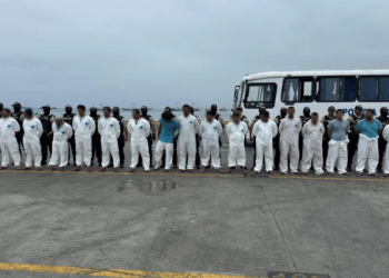 ¡Golpe en Manabí! 10,3 toneladas de droga fuera de circulación