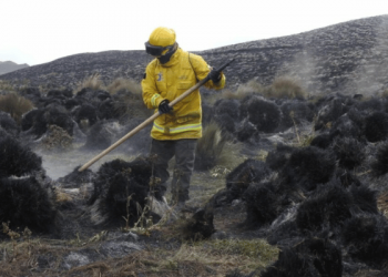Inamhi alerta: fuertes vientos ponen en riesgo de incendios forestales