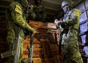 Militares decomisan 900 piezas de madera y un camión en Baños
