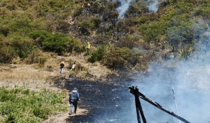 Bomberos controlan incendio forestal en Calacalí
