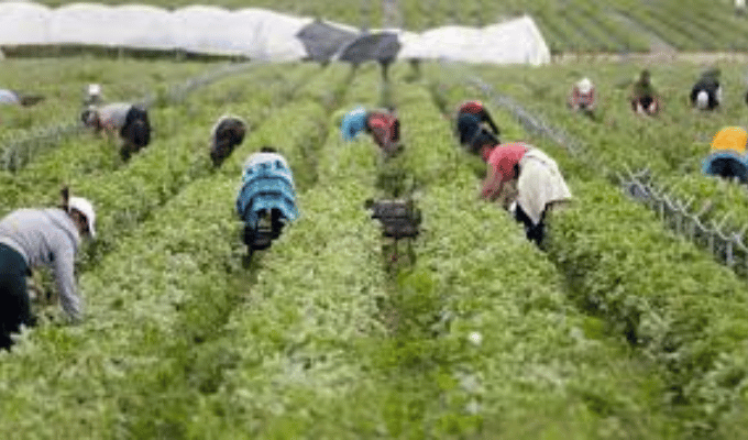 Ecuador lleva 25 años sin Censo Nacional Agropecuario