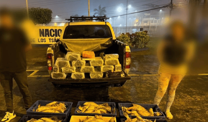 Operativo en Santo Domingo dejó dos detenidos